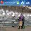 rooster chicken cage equipment for big poultry farm
