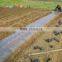 clear agriculture mulch films