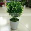 CHY060910 Artificial bonsai on pot/Mini artificial tree on pot