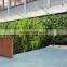 Green grass climbing wall clad decoration