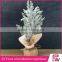Factory High Quality Wholesale Small Decorative Pine Trees for Christmas Day