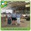 LVL Poplar Wood Handles for MOP/Broom Factory with QL