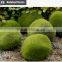 Gardening christmas gift for wall rock decoration moss stone