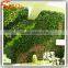 2017 Guangdong DIY fake vertical garden materials plant wall used artificial grass