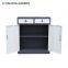 Fenglong 2 door 2 drawer filing cabinet