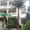 new natural design high artificial palm tree with true palm tree bark