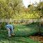 Greece Popular Olive Protection and Harvest Nets With UV Stabalizer