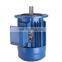 high voltage electric motor