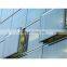 Good quality triple pane insulated glass for windows