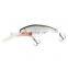 Amazon 5cm 5g Long Casting Mini Minnow Brand New Shape Hard Fishing Lure Fishing Bait