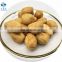 Fried YOUTIAO dough stick Chinese bread
