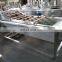 Stainless Steel Garlic Cleaning Machine Garlic Washing Machine Factory Price Fruit Air Bubble Cleaning