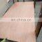18mm best price commercial plywood sheet