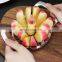 304 stainless steel Apple Slicer Corer Cutter Pear Fruit Divider Tool Apple Peeler