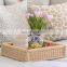 Hot Sale Rectangle Woven Rattan Tray, Best Price Straw Serving Tray, Decorative Boho Tray for Table Decor