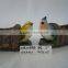 Polyresin Solar Powered Bird Figurine Lawn Light & Garden Decoration