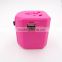 Fashion Business Gift Classic Design Pink Our Patent Swiss Canada Australia All In One universal World Travel Adapter with 2 USB