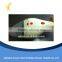 Bagless cordless vacuum cleaner wet dry car vacuum cleaner