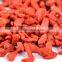 EU hot sell dried goji berries