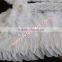 Party Supplies Decorations White Big Angel Wings With Goose Feather