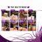 Wholesale 100% Brazilian Virgin Remy Human Hair Skin Weft Hair Tape Extension