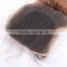 5x5 Ombre Lace Closure Two Tone Free Part Middle Part 3 Part Closure Brazilian Virgin closure