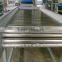 Tomato sorting machine