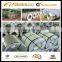 SGCH DX51+Z Thickness 0.13mm-2.0mm,width 914mm/dx51dZ To South Africa Standard Dx51d Z70 Galvanized Steel Coil