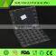 blister process type disposable plastic quail egg tray