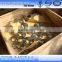 stainless steel gost standard flange