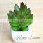 High quality best price artificial succulent plant for decoration