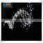 2015 Christmas, Party, Holiday Holiday Name LED String Lights