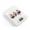 Electronic Tempered Glass Food Weight Scale 5kg