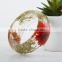 2016 Europe and the United States the latest popular style round resin according to the real dried flowers,bangle bracelets