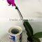 Factory price high quality cut hole hang tags self adhesive sticker label