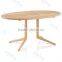 Oval Wooden Dining Table