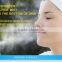 SR-1106 Christmas gift economic home use nano personal face spray mister