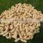 Java Peanuts