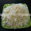 Dehydrated White Onion Kibbled
