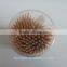 Disposable Double-point Toothpicks in Transparent Soft Tube