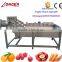 Industrial Cassava Washing Machine / Cassava Drying Machine with Factory Price