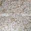 wholesale Pumpkin Seed Show White new crop with best price