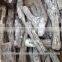 TOP QUANLITY/ VIETNAM hardwood white charcoal