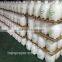 high quality pressure agriculture sprayer