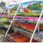24 Nursery plant Danish flower trolley TC4622, garden flower trolley, Danish Flower Trolley Cart DC for sale