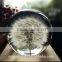Custom Real dandelion paperweight gift