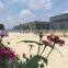 unpolished colored gravel for landscaping and terrazzo floor