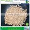 Soyabean seed supplier