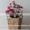 Tapered shape water hyacinth flower planter