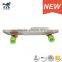 HSJ59 Banana board 22 Inch plastic board fish complete skateboard